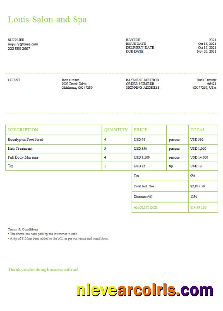 USA Louis Salon and Spa invoice